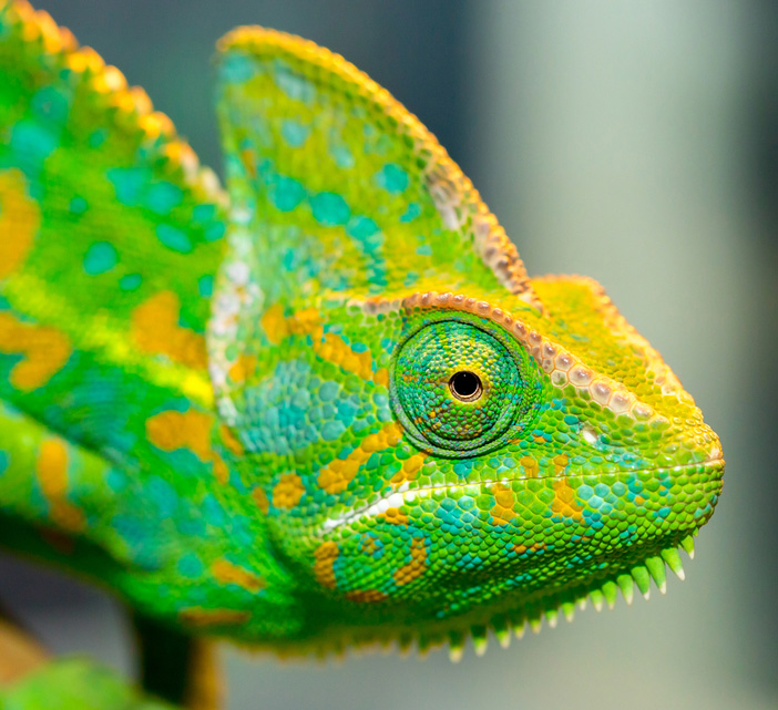 Super Chameleon Effect Pigments